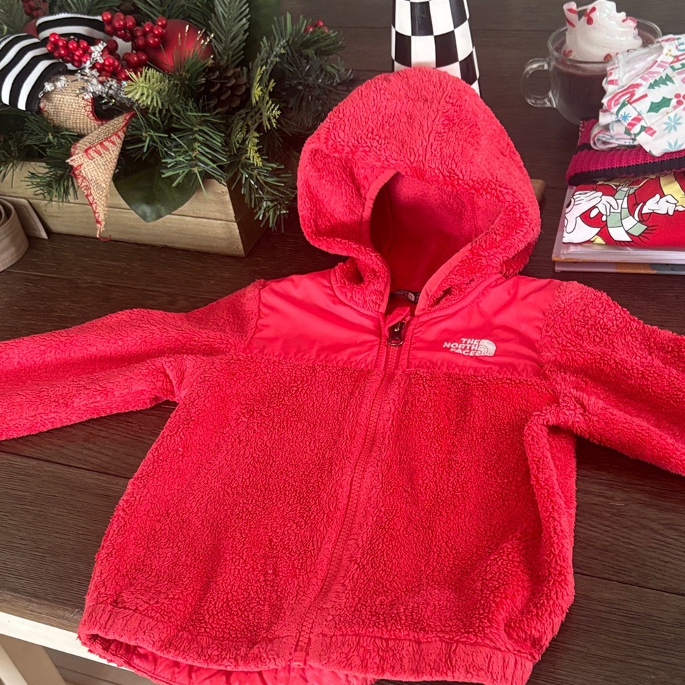 The North Face Vibrant vibrant coral Hooded Fleece